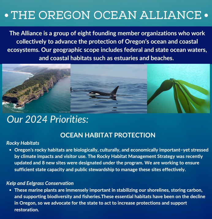 New Ocean Alliance Launches Conservation Priorities for Oregon's Ocean